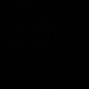 Meet your Posher, Geneva